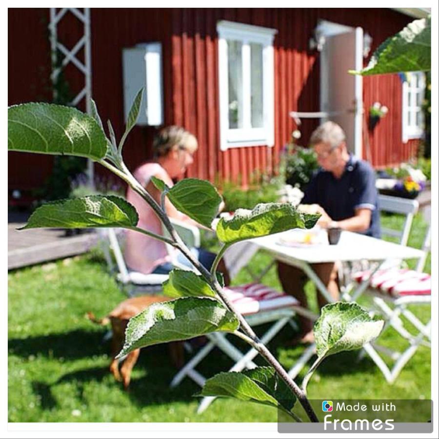 Bed and Breakfast Lavendeltorpet Haggum Esterno foto