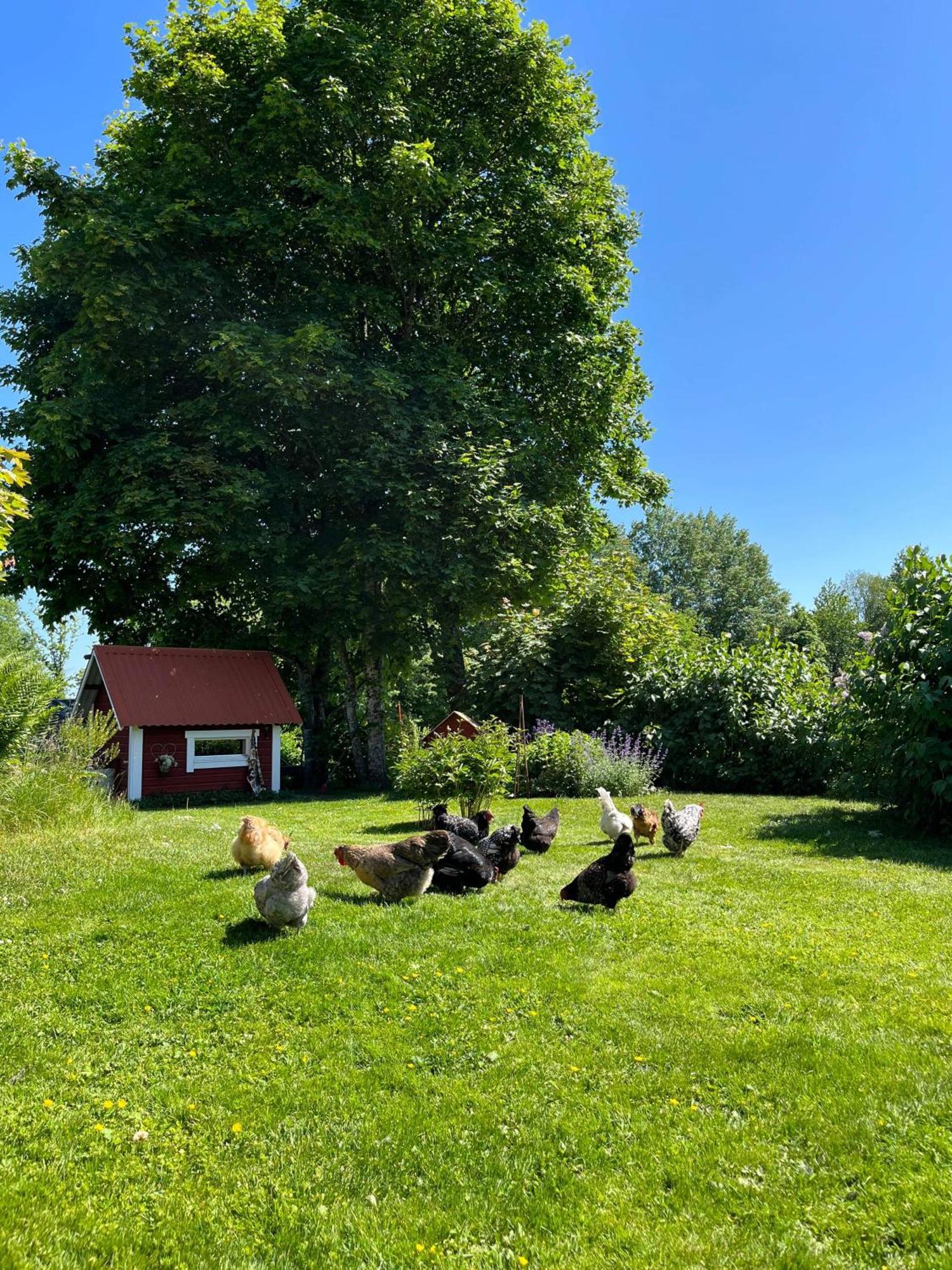 Bed and Breakfast Lavendeltorpet Haggum Esterno foto