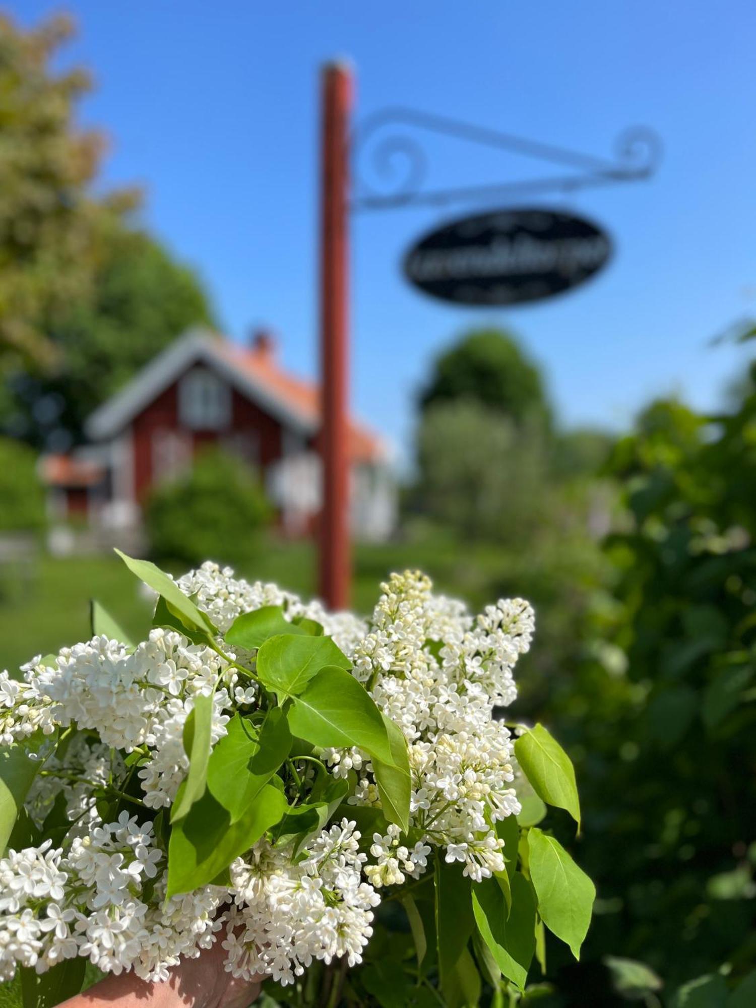 Bed and Breakfast Lavendeltorpet Haggum Esterno foto